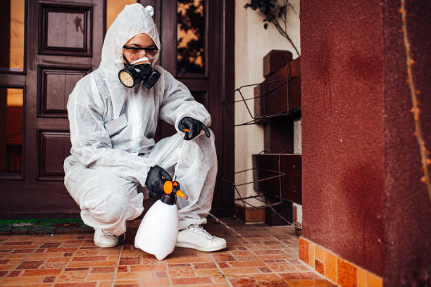 Attic and Crawl Space Rodent Treatment in Battle Mountain