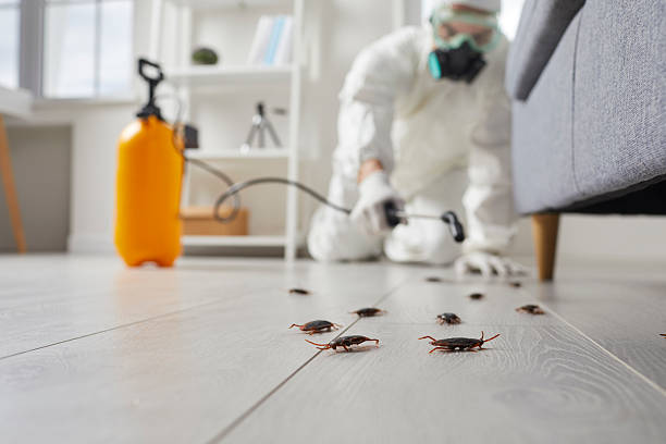 Commercial Rodent Management in Battle Mountain